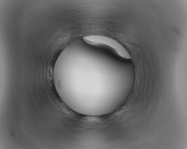X0000115110528200911101608