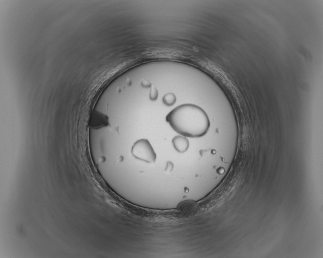 X0000115110529200911101608