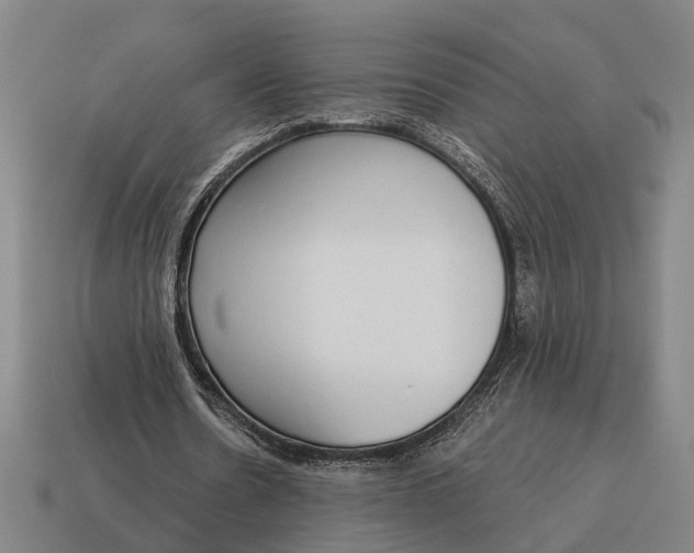 X0000115110530200911101608