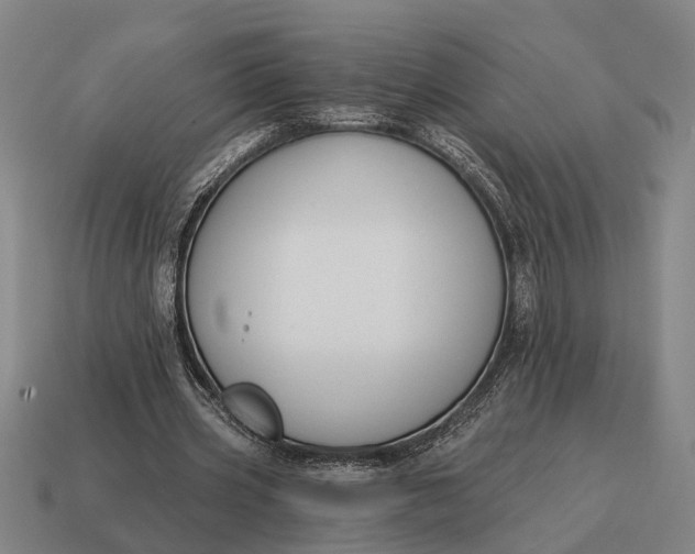 X0000115110533200911101608