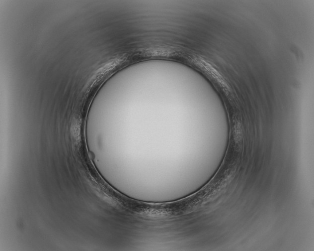 X0000115110537200911101608