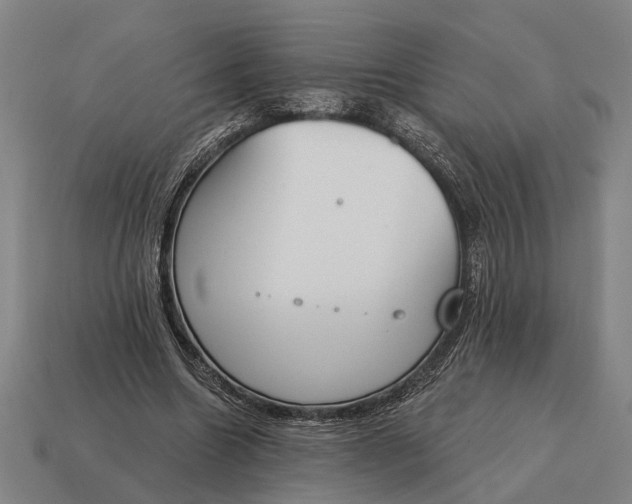 X0000115110538200911101608