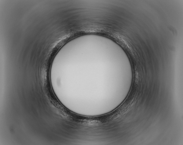 X0000115110539200911101608