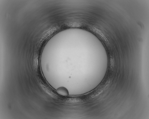 X0000115110541200911101608