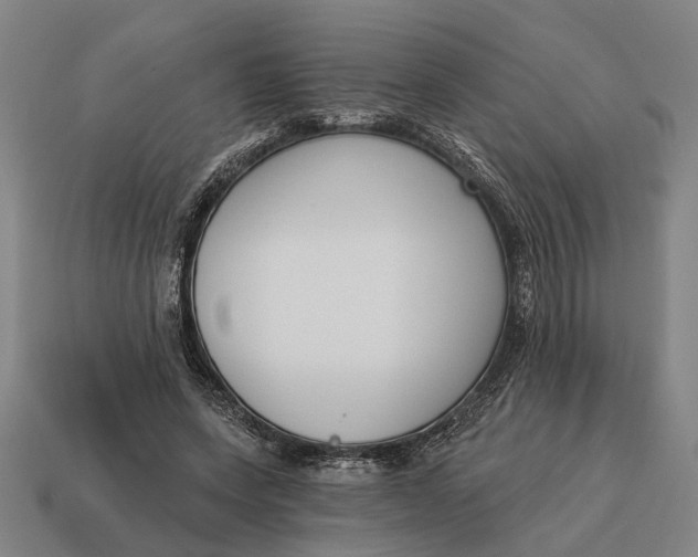 X0000115110543200911101608