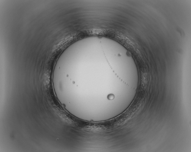 X0000115110545200911101608