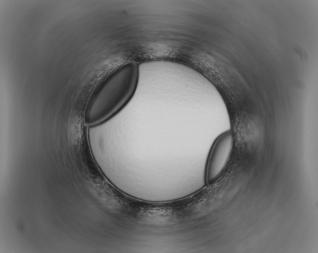 X0000115110546200911101608