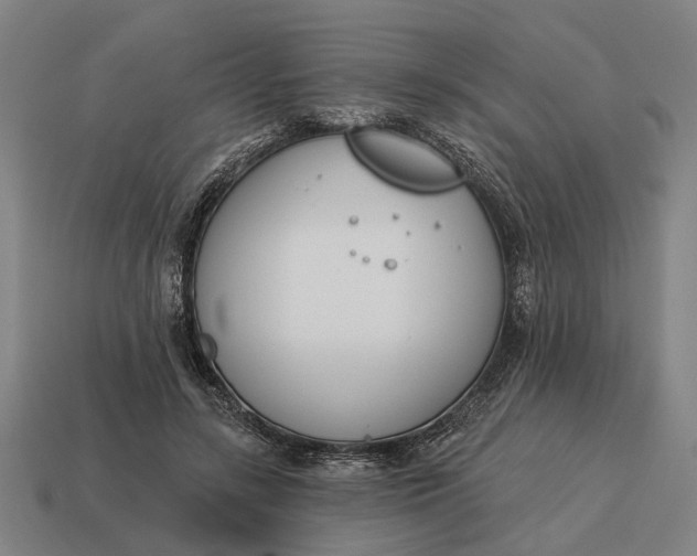 X0000115110547200911101608
