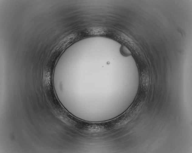 X0000115110549200911101608