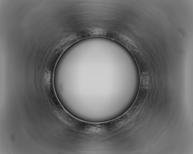 X0000115110550200911101608