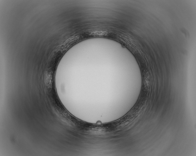 X0000115110551200911101608
