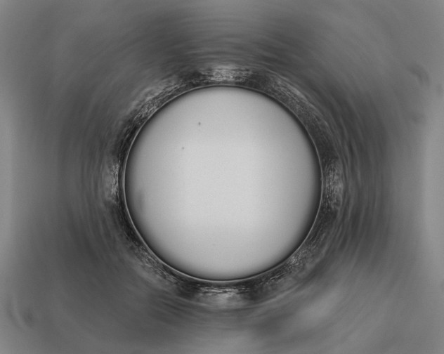 X0000115110554200911101608