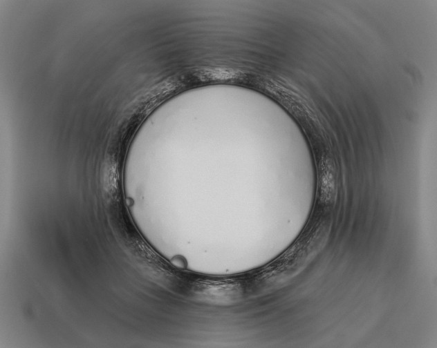 X0000115110555200911101608