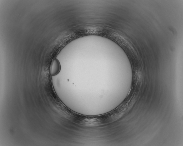 X0000115110557200911101608