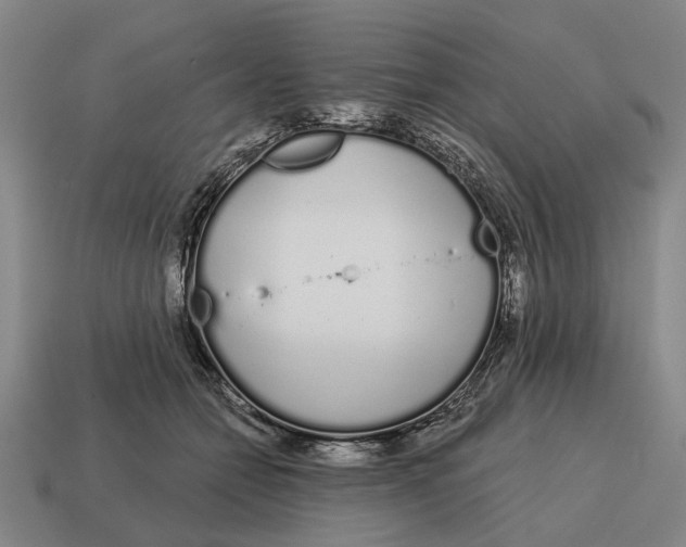 X0000115110558200911101608