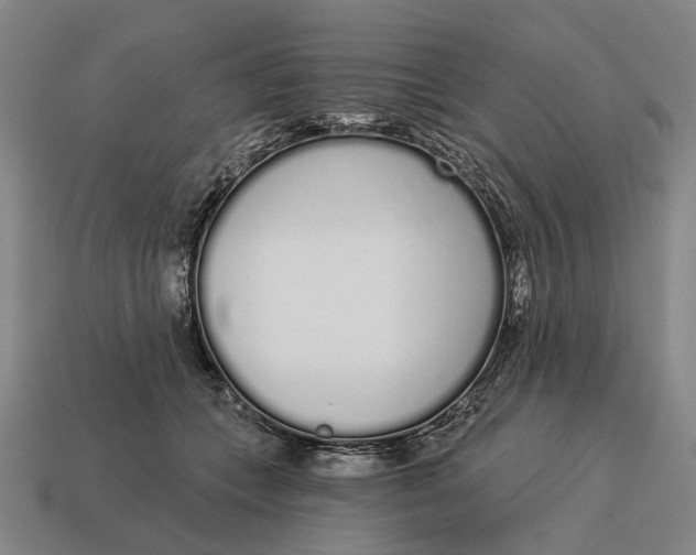 X0000115110559200911101608