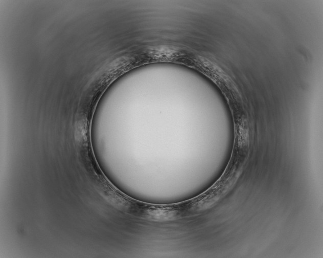 X0000115110561200911101608