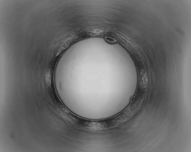 X0000115110562200911101608