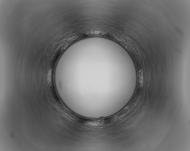 X0000115110563200911101608