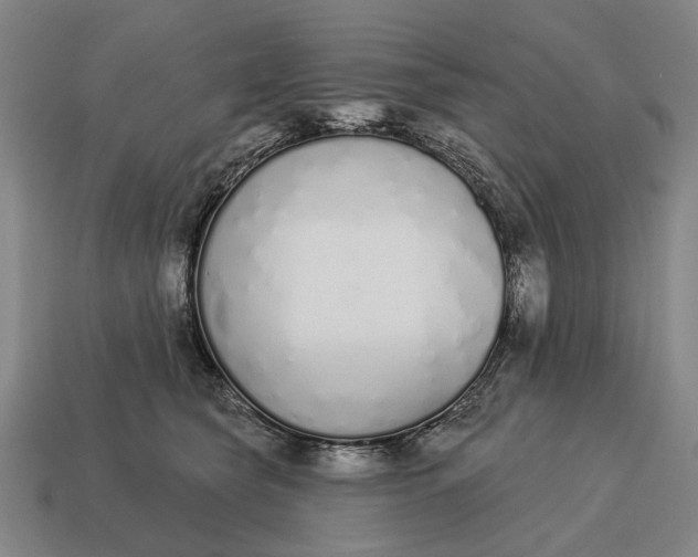 X0000115110565200911101608