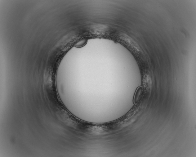 X0000115110566200911101608