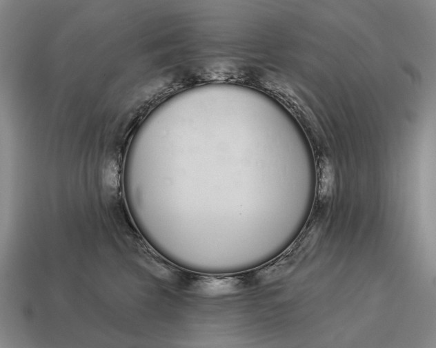 X0000115110569200911101608