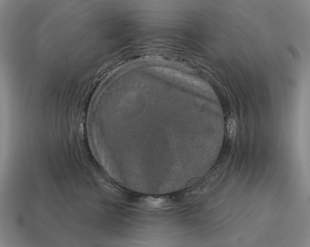 X0000115110570200911101608