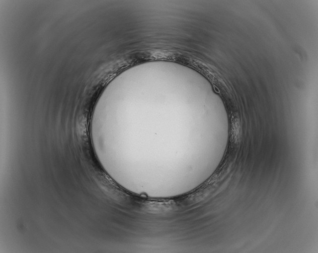 X0000115110571200911101608