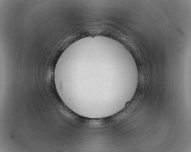 X0000115110574200911101608