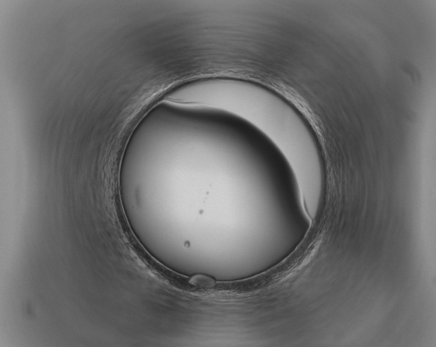 X0000115110577200911101608
