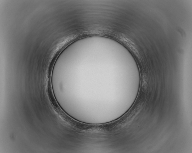 X0000115110578200911101608