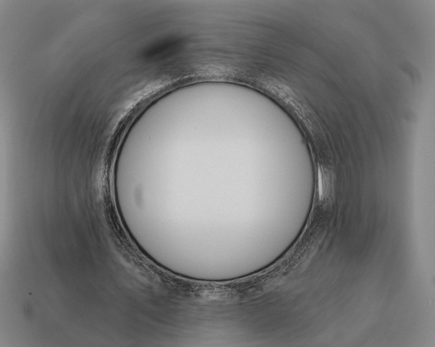 X0000115110579200911101608