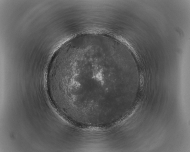 X0000115110581200911101608
