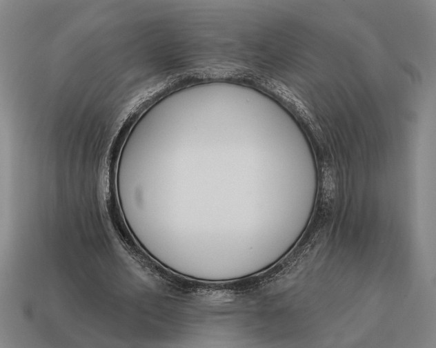 X0000115110582200911101607