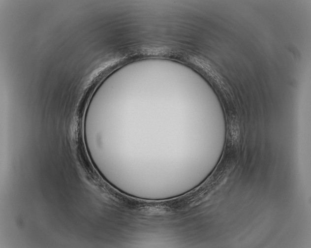X0000115110583200911101607