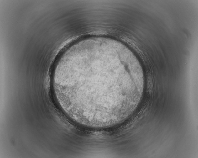 X0000115110584200911101607