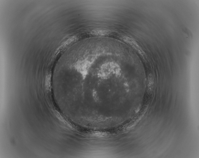 X0000115110585200911101607