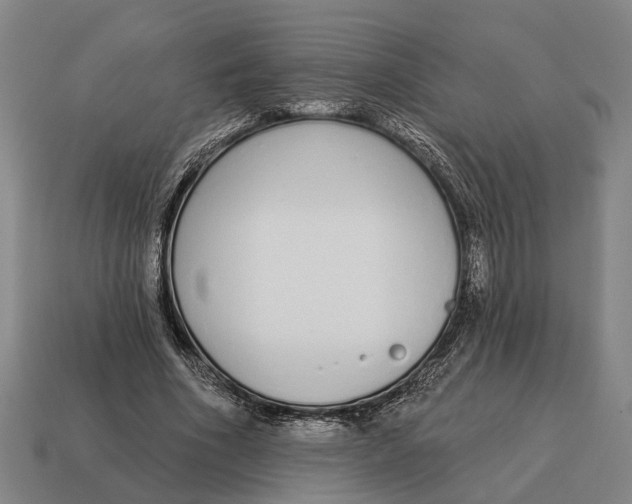 X0000115110586200911101607