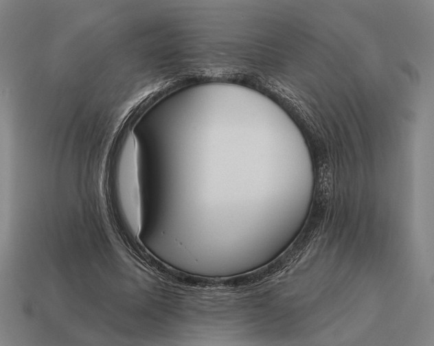 X0000115110587200911101607