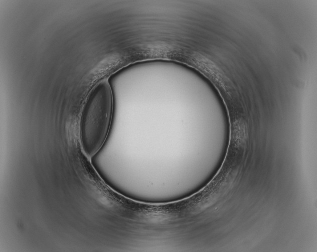 X0000115110589200911101607