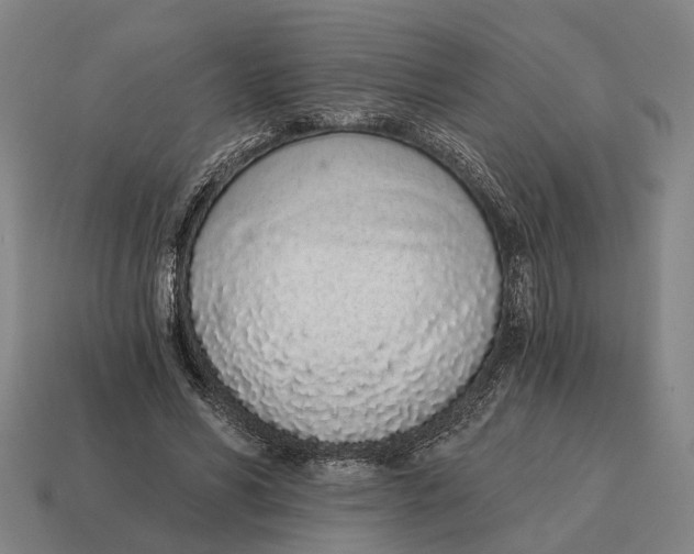X0000115110590200911101607