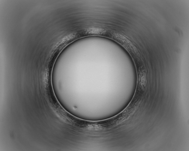 X0000115110591200911101607