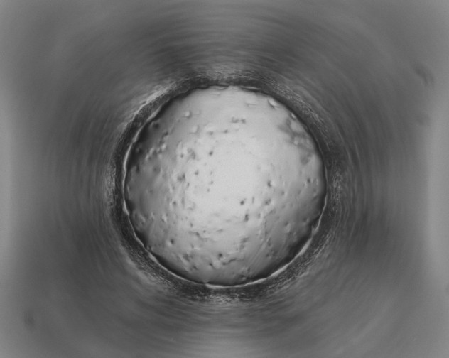 X0000115110592200911101607