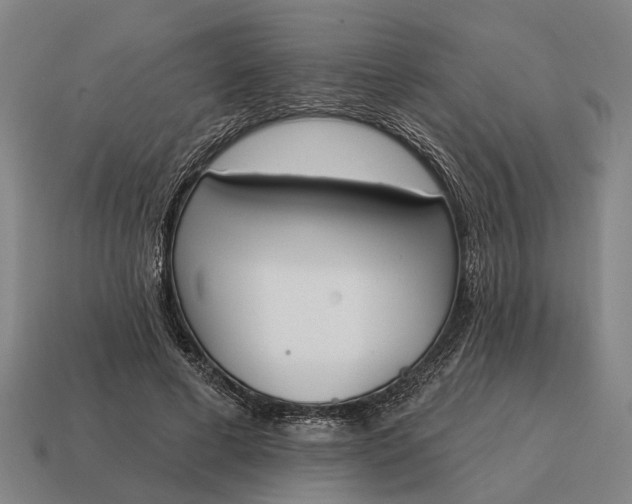 X0000115110593200911101607