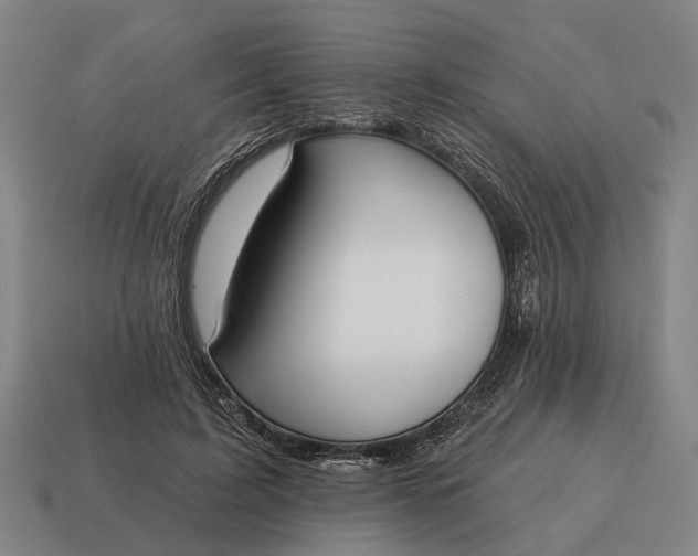X0000115110595200911101607