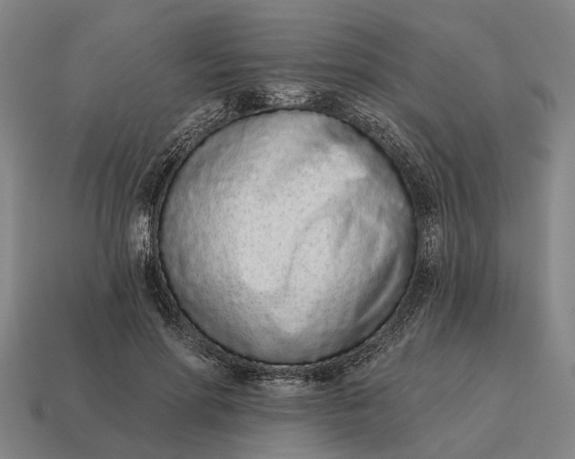 X0000115110598200911101607