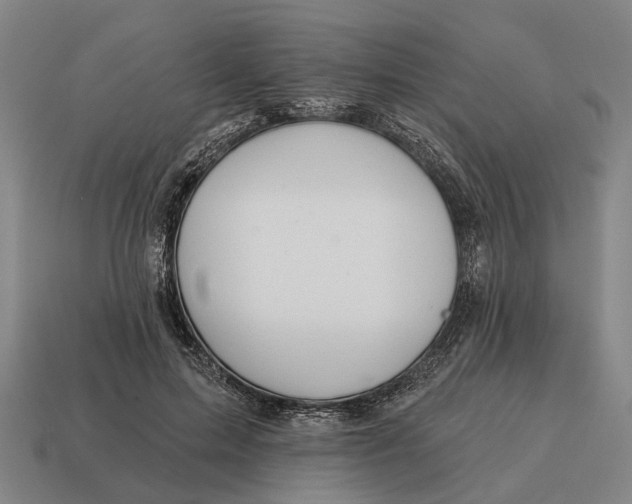 X0000115110599200911101607