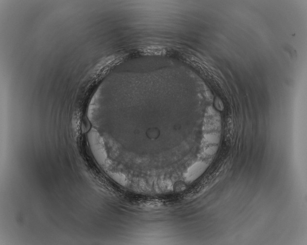 X0000115110600200911101607