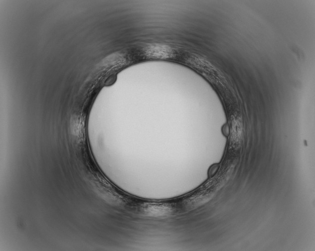 X0000115110601200911101607