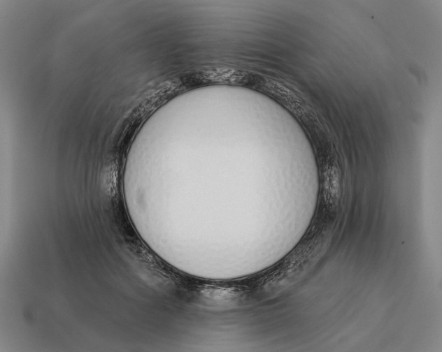X0000115110602200911101607